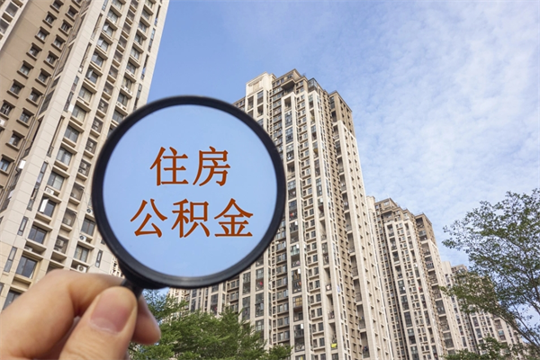 上海公积金1万元可贷款额度详解：如何最大化你的贷款潜力与购房资金规划